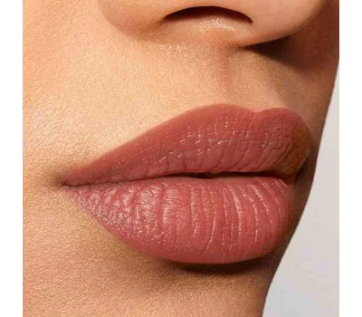 Pure Color Explicit Silk Matte Lipstick