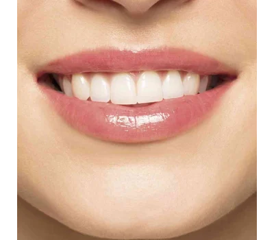 Instant Light Natural Lip Perfector