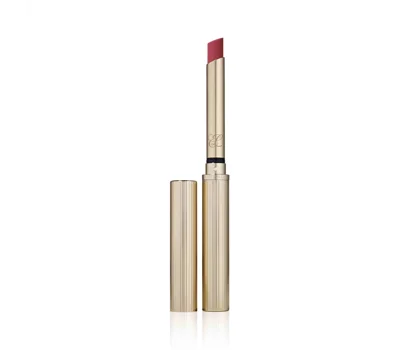Pure Color Explicit Silk Matte Lipstick