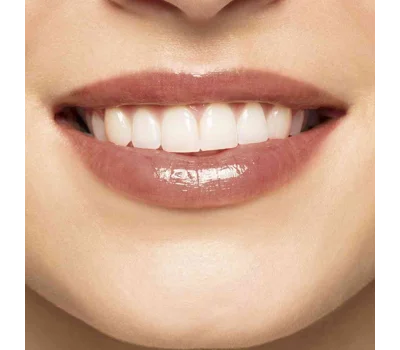 Instant Light Natural Lip Perfector