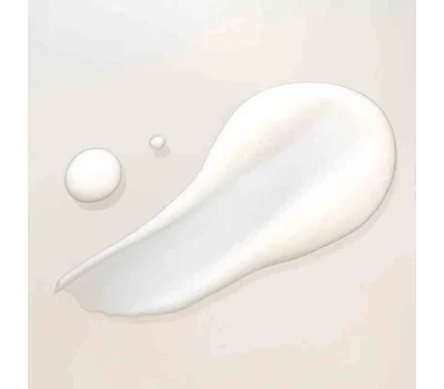 Refresh And Protect Light Face Cream