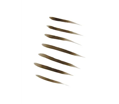 Brow Pen