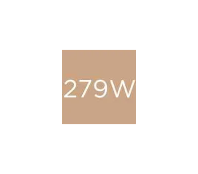 279W Biscotto / Biscuit