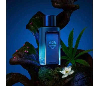 The Icon Supreme Eau De Parfum Intense For Men