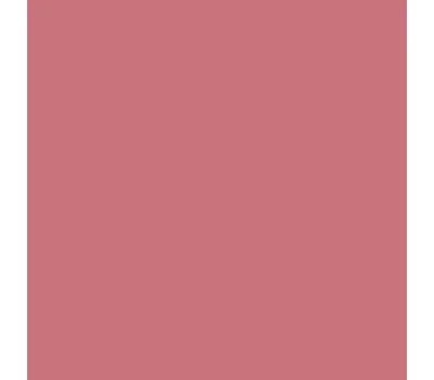 Loveshine Plumping Lip Oil Gloss