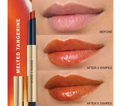 Pure Color Melt-On Glosstick