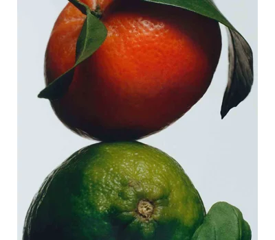 Lime Basil & Mandarin Body CrèMe