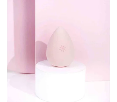 Complexion Sponge