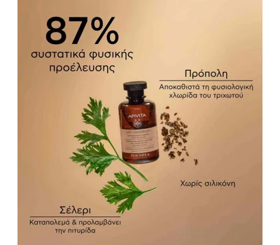 Dry Dandruff Shampoo With Celery And Propolis 250ml