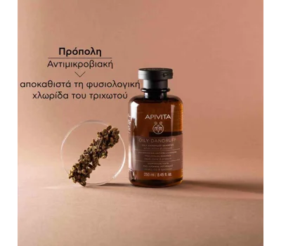 Oily Dandruff Shampoo With White Willow And Propolis 250ml