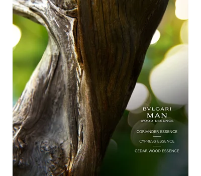 Man Wood Essence EDP 60ml