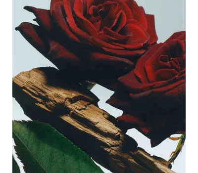 Velvet Rose & Oud All Over Body Spray 125ml