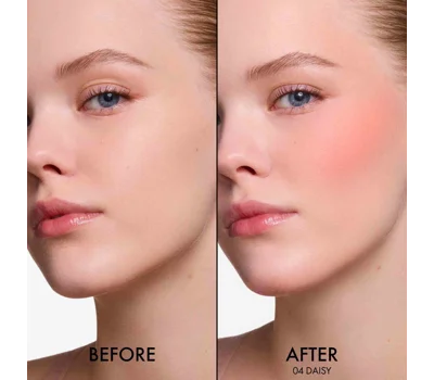 Dior Forever Blush Soft Filter
