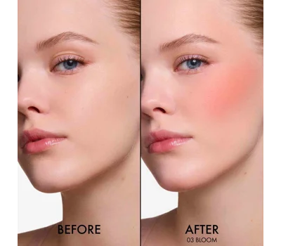 Dior Forever Blush Soft Filter