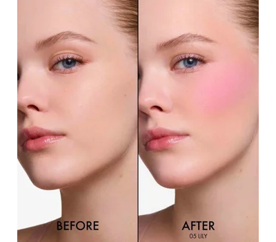 Dior Forever Blush Soft Filter