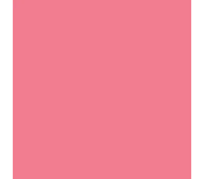 Travel Blush Stick