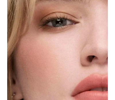 The Sculpting Blush Powder