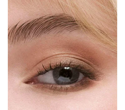 The Essential Eyeshadow Quad