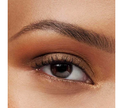 The Essential Eyeshadow Quad