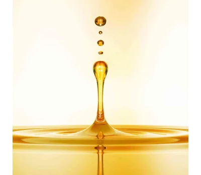 Orofluido Elixir