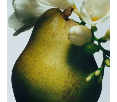 English Pear Scented Duo