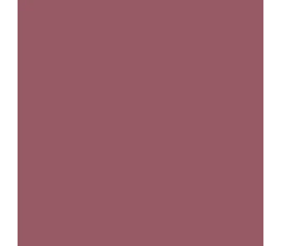 Silky Premium Lip Definer 536 Teacup