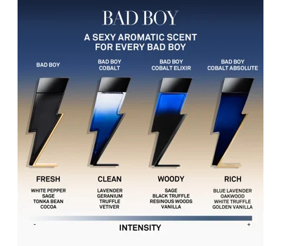 Bad Boy Cobalt Absolute EDP 100ml