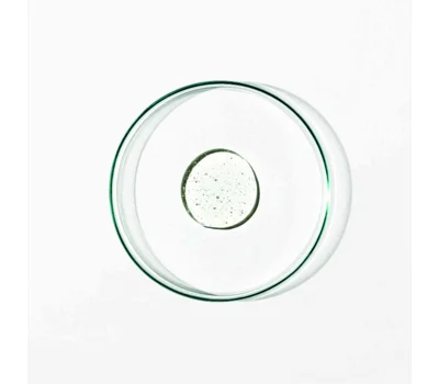 Revitalize Hand Wash