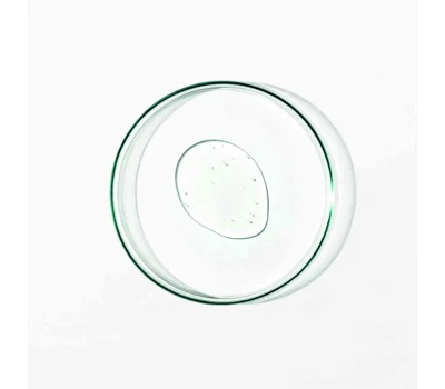 Gentle Gel Facial Cleanser