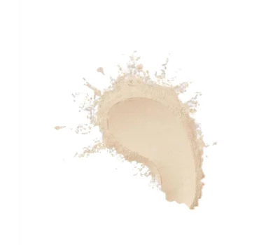 Facefinity Pro Blur Longwear Setting Powder 01 Translucent