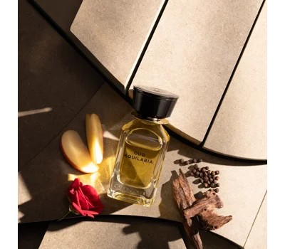 Oud Aquilaria EDP 100ml