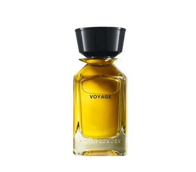 Voyage EDP 100ml