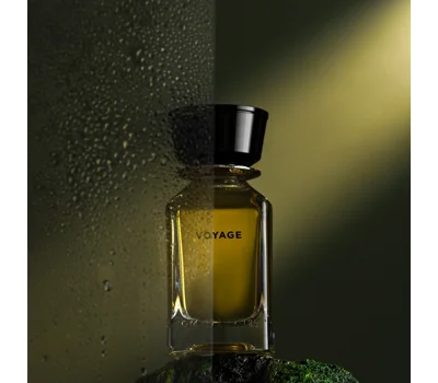 Voyage EDP 100ml