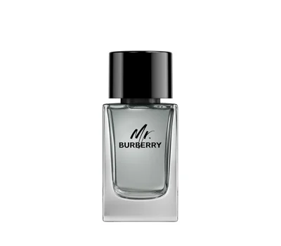 Mr. Burberry Eau De Toilette