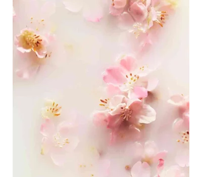 The Ritual of Sakura Body Cream Refill 220ml