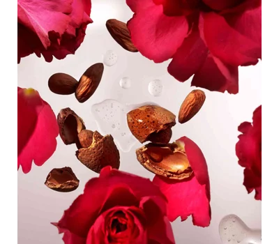 The Ritual of Ayurveda - Small Gift Set