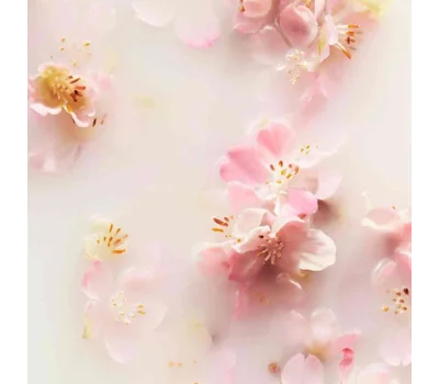 The Ritual of Sakura Hand Wash 300ml