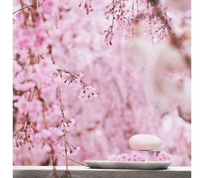 The Ritual of Sakura Shampoo & Body Bar