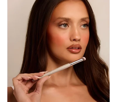 The SUGAR Brush 06