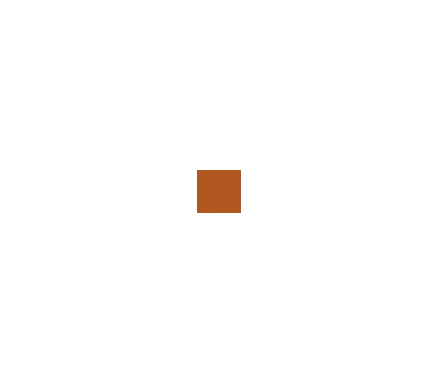 04 Tan