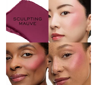 Teint Idole Ultra Wear Stick Blush Berry 02