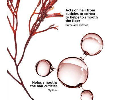 Expert Smoothing Conditioner