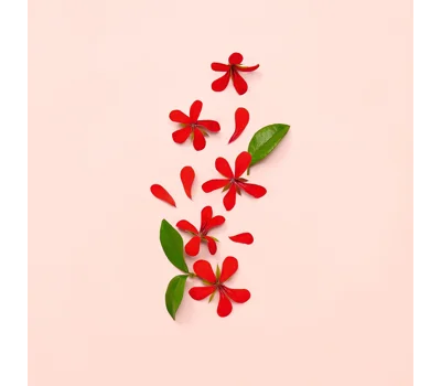 Bloom Eau De Parfum