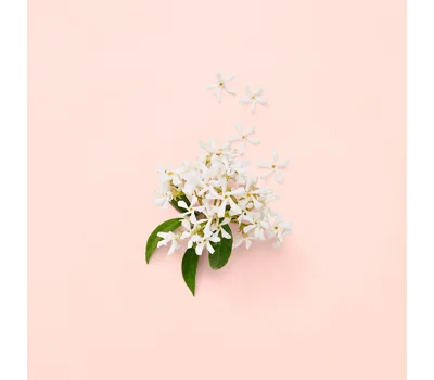 Bloom Eau De Parfum