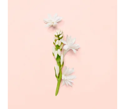 Bloom Eau De Parfum