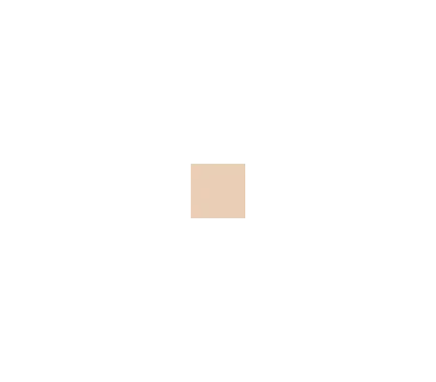 010 Beige Porcelaine