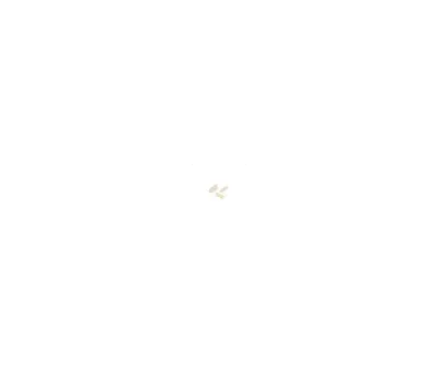 002 Ivory