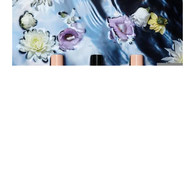 Bloom EDT