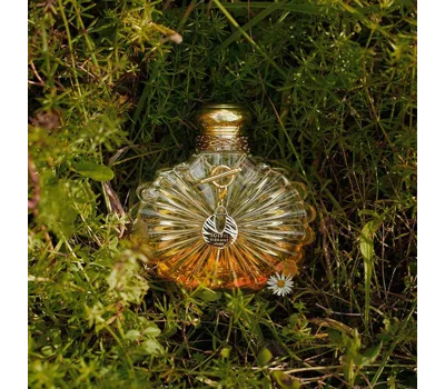 Soleil Vibrant EDP