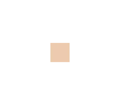 1N Neutral